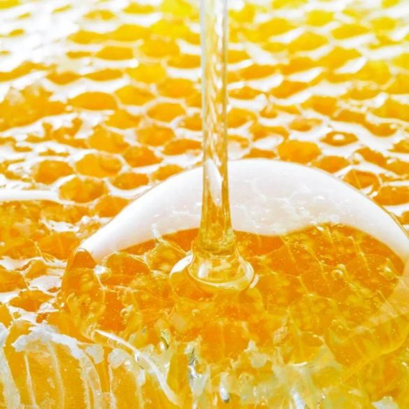 Intentional Adulteration Training